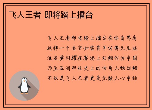 飞人王者 即将踏上擂台